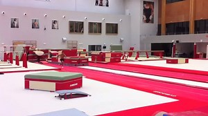 16K views · 190 reactions | 2011 flashback: Thomas Bouhail (FRA) training a tsuk double layout! | International Gymnast Magazine | Facebook