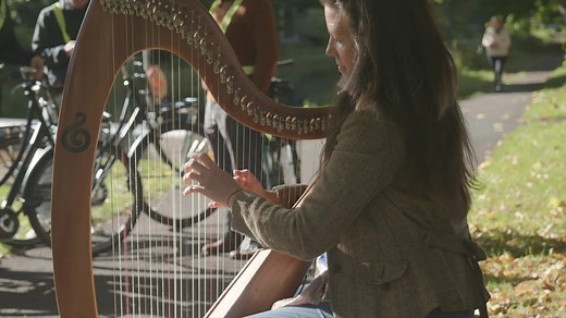 1.8K views · 100 reactions | Harpers everywhere are celebrating...