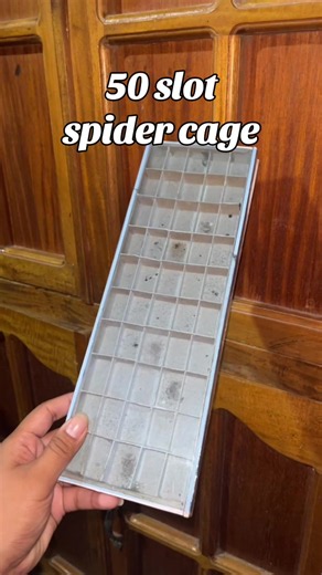 #spider #spidercage #cage #spiderman