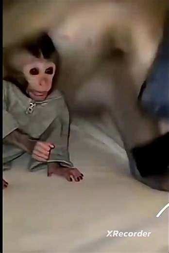 las 3 de la mañana el mono despiertos de la jugada