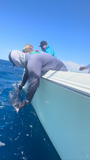 El jefe 99.9 garantizado | El Jefe