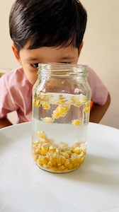 49K views · 133 reactions | ✨ Dancing Corn Experiment ✨A fun and easy...