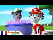 Paw Patrol - la Pat'Patrouille - Un Concours - NICKELODEON JUNIOR