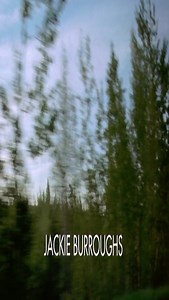 Вас не догонят / Lost and Delirious, 2001 многоголосый,WEB-DL.1080p