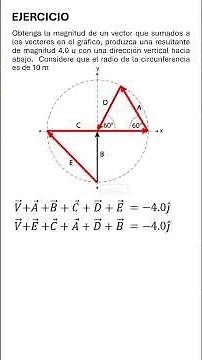Vector problem graphic method #physics #vectors
