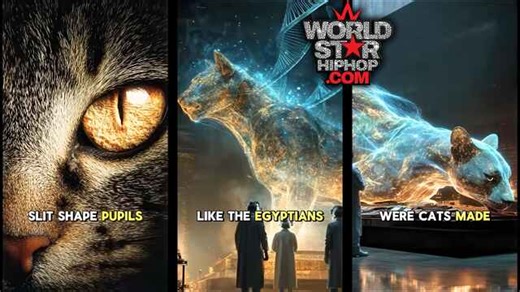 Your Cat Might Be An Alien! Wild Theory Claims House Cats Have Reptile Eyes Because They Were Genetically Engineered By Ancient Egyptians (Commentary)