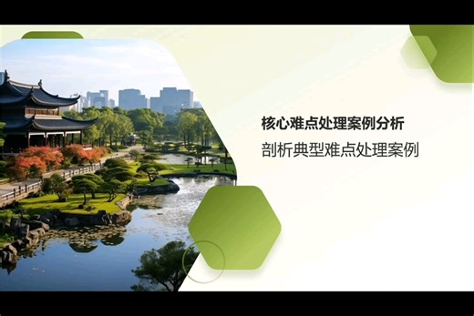 翻译过程实录分析。