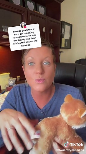 Signs Your Cat is Dehydrated - How to Tell and What to Do