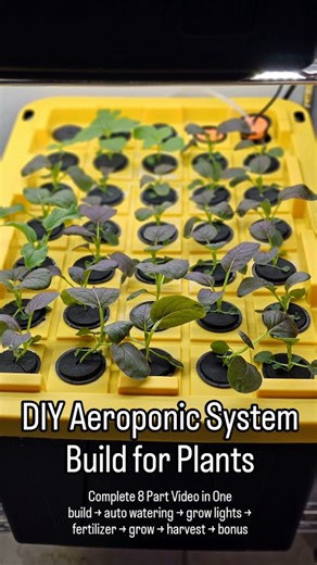 12K views · 443 reactions |  How to Build a DIY Aeroponic System for...