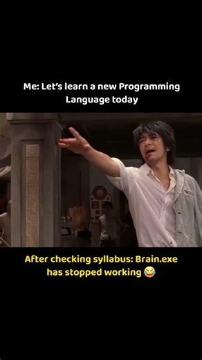 programming language 🤣🐸