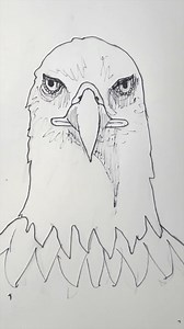 376K views · 1.7K reactions | Draw an eagle 礪 Easy drawing lesson for beginners on how to draw an eagle from the front. #drawinglesson | Mark Liam Smith | Facebook