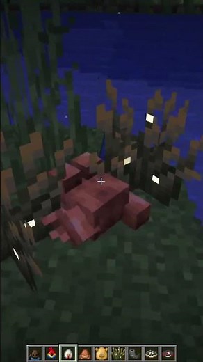 Minecraft ASMR: Relaxing Night with Frogs & Fireflies 🌌🐸 #minecraftasmr #minecraftshorts
