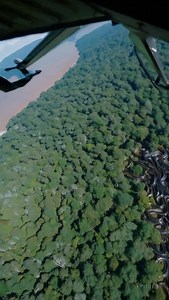 2.8K views · 1.8K reactions |  SECRET ANACONDA BREEDING FACILITY...