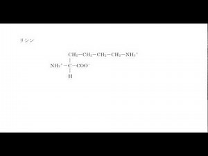 ｢アミノ酸とタンパク質｣講義３：高校化学解説講義