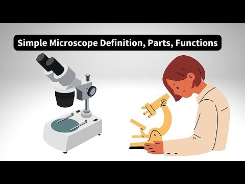 Simple Microscope Definition, Parts, Functions