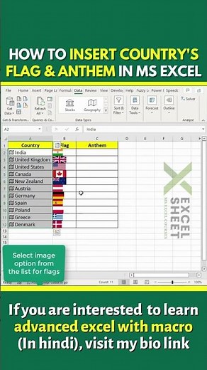 How To Insert Country's Flag & Anthem In Ms Excel | Excel Tips & Tricks #shorts #ytshorts #exceltips