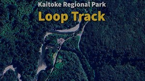 An upgraded, wheel-chair accessible, pram and whānau-friendly track is ready for you to explore in Kaitoke Regional Park 🌲 The small loop track underwent an incredible transformation to make it a perfect, easy, and short walk suitable for the whole family, from the littles to the oldies! 👵 The track is surrounded by ancient remnant bush, a pristine example of how Aotearoa once was. 🗺 Located north of Upper Hutt, Kaitoke Regional Park is great for an afternoon out. Bring a picnic, explore Rive
