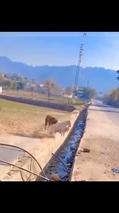 Sometimes your help is needed #motivation #PressPlay #art | Alpha Institute for Research and Innovation