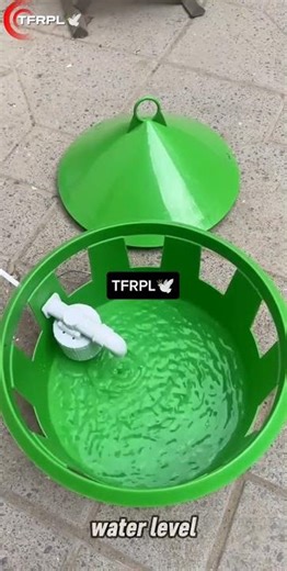 Automatic Water Drinker for Pigeons | Easy & Affordable Loft Solution #AutomaticWaterDrinker