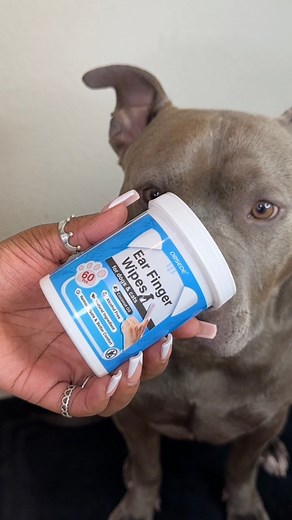 304K views · 6.3K reactions | Dog Bath Time Routine & Moisturizing 識﫧 #dogsofinstagram #cutedog #routine #doggroomimg #dogbath #bath #relaxing #relax #satisfying #asmr #asmrsounds #explore #viral #pitbull | reignstormpit | Facebook