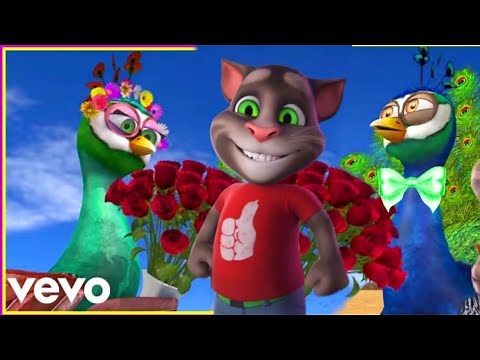 El pavo y la pava - canciones infantiles / gato tom