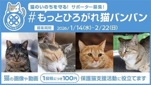 猫の安全守る日産「猫バンバン」が11年目、SNS投稿連動の支援活動「#もっとひろがれ猫バンバン」開始 1枚目の写真・画像 | レスポンス（Response.jp）