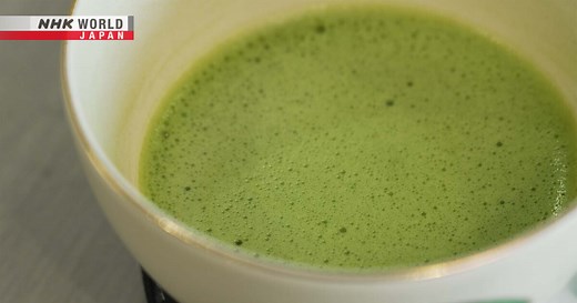 Matcha's Power, Explained by Science - Medical Frontiers