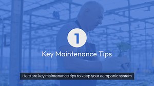 Aeroponic System Maintenance