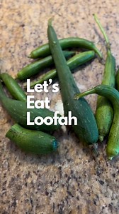 4.4K views · 13 reactions | Loofah needs a really long growing season and chances are, towards the end of the season, your plant will produce loofah that have no chance of ever reaching a sponge stage. Immature loofah can be eaten just like you would zucchini. I have found different varieties of loofah taste better than others. Some can have a slightly bitter aftertaste. Have you tried eating loofah? | The Ever Hopeful Gardener | Facebook