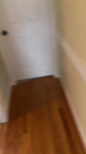 Mickey Mouse vs. Donald Duck: Epic Showdown