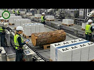 Inside a Modern Paper Factory: From Wood Logs to A4 Paper (Full Process)