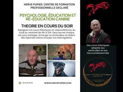 Hervé Pupier Center - Dog Trainer Training