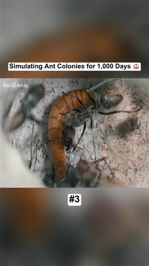 Simulating Ant Colonies for 1,000 Days 😱 #100days #terrarium #vivarium #ant