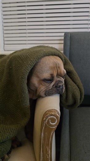 buna-bean&luna on TikTok