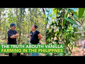 Milyon-milyon ba Talaga ang Kita sa Vanilla Farming?