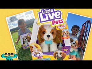Little Live Pets My Really Real Puppy Patches - Toy Unboxing & Review