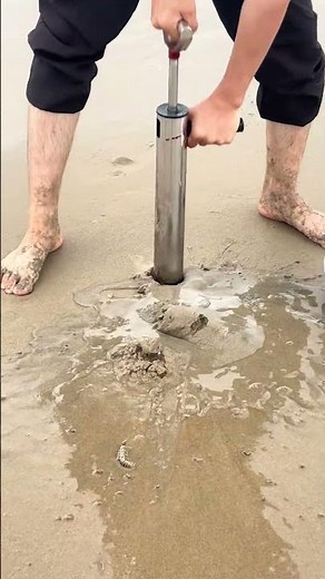 Catching mantis shrimp this way is so easy! #OutdoorSeafoodCatching #SeafoodCatchingVideo