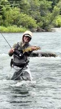 THANK YOU, MR. BROWN! #fishing #flyfishing #montana #trout #troutfishing