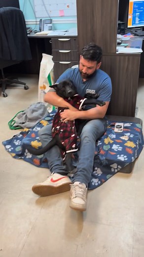 Spending this cold evening with the official current longest resident of The City of Mobile Animal Services, Berry. Berry has spent most of his life at the shelter in a cement kennel and at only 9 months old, he has never known a forever family. He has been overlooked every time, never had an adoption application, So tonight he gets some fresh pajamas and some treats in the office. Can you imagine being in a shelter for almost 150 days?! That’s absolutely unacceptable to me. Berry is great with 