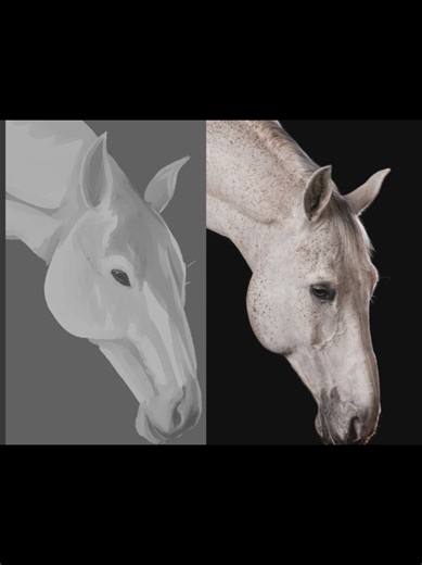 Learning to Draw Horses: A Humorous Journey