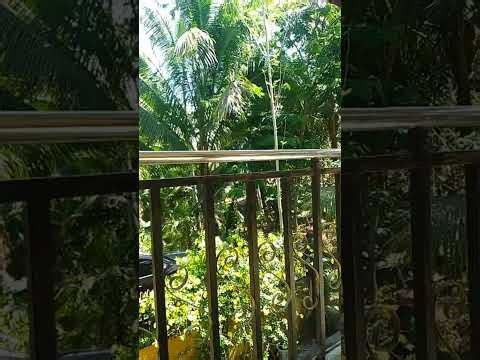 Highlight 52:33 - 57:32 from GIA Channel is live! Malalagpasan natin ang lahat ng hirap na dinaranas