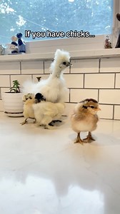 48 reactions | You’re going to want to save this one!! If you have...