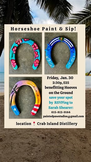 Custom Pet Portraits by Sarah Shearer on Instagram: "Thank you to came to the 1st “Horseshoe Paint & Sip”! Many of the free roaming horses of Vieques, PR recieve vaccines, injury treatment, etc thanks to the local non profit, @pezunas_en_el_suelo . This event supported their efforts and I’m happy to say we had such a good response- we’re doing it again Friday Jan 30th at @crabislandrum 📍 Please like, share and help us get the word out! #vieques #animalrescue #puertorico"