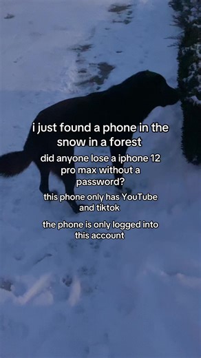 #fyp #viral #arg TikTok