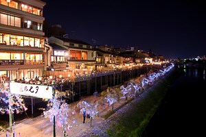 夏は京都のライトアップを見に行きませんか？ 夏のライトアップ、おすすめスポットをご紹介！