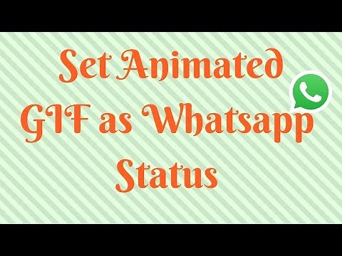 How to Set Animated GIF as Whatsapp Status