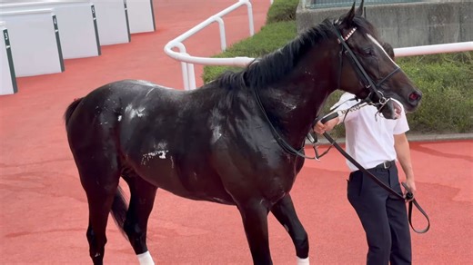 赢下胜利的艾里王面对摄像机冷静且熟练地摆出各种POSE【20250921】