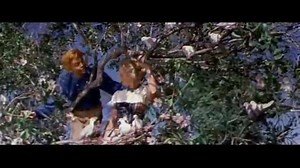 Happy First Day of Spring!! Here's "Spring, Spring, Spring" from one of my favorites-- Seven Brides for Seven Brothers. | Hometowns to Hollywood, LLC