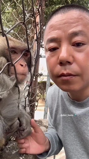 alien_meme🙏 on Instagram: "😝🤣 funny #memes #meme #funnymemes #comedy #lol #dankmemes #memesdaily #fun #love #humor #follow #funnyvideos #instagram #viral #like #explorepage #instagood #lmao #dank #tiktok #jokes #explore #cute #memepage #funnymeme #trending #laugh #dailymemes #edgymemes"