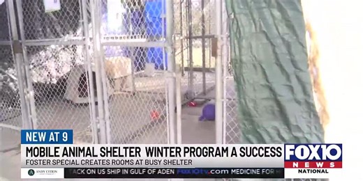 City of Mobile animal shelter celebrating fostering milestone amid freezing temps